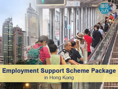 Employment Support Scheme Package