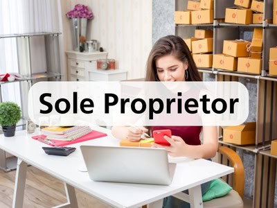 Sole Proprietor