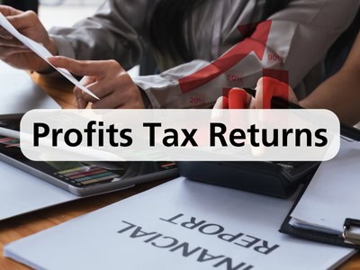 Profit Tax Returns